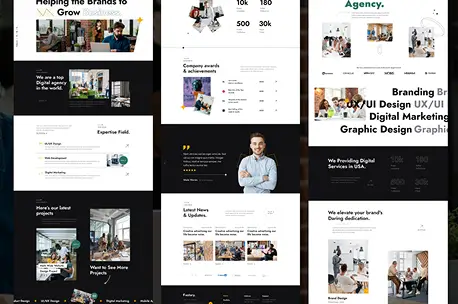 WordPress Agency Website